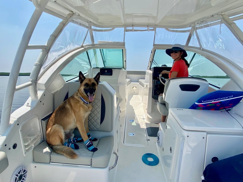 Star and her dog on their Pursuit DC 266