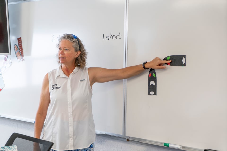 Instructor at Chapman School